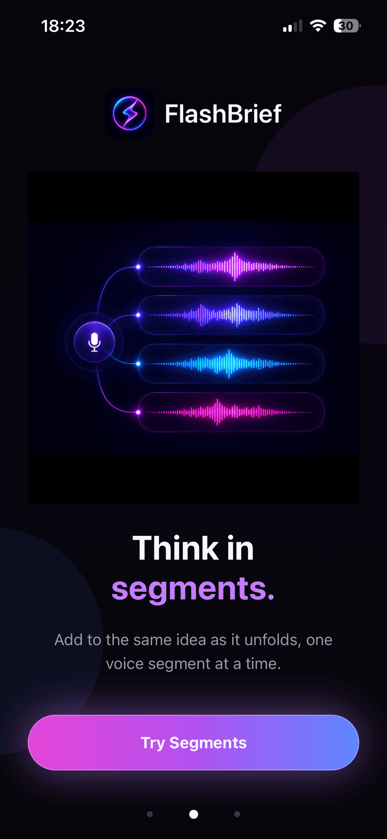 FlashBrief iPhone screen explaining segmented voice capture for one evolving product idea